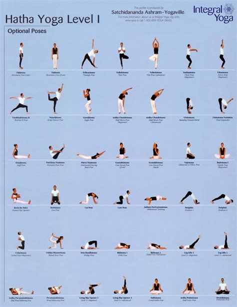 Your Yoga Class | Hatha yoga poses, Vinyasa yoga, Hatha yoga sequence