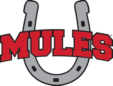 2003 Mules baseball team to be inducted into Missouri Sports Hall of ...