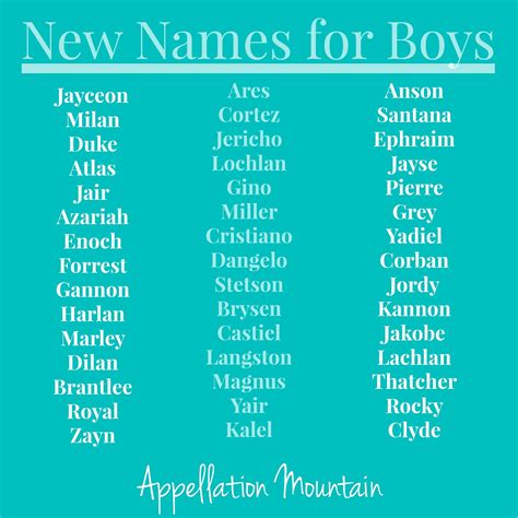 Cute Middle Names For Boy Dogs