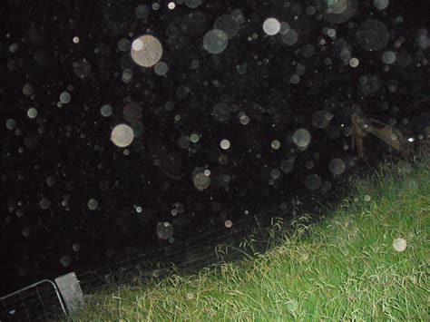 These ghost orbs have been captured in a field near a cemetery ...