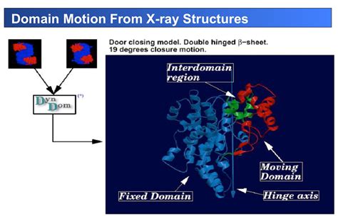 Molecular Machines within us: The Citrate Synthase I