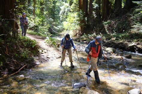 Portola Redwoods State Park — The Weekly Camper