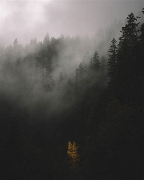 Bye, Fall - Willamette National Forest [OC][4000x5000] : r/EarthPorn