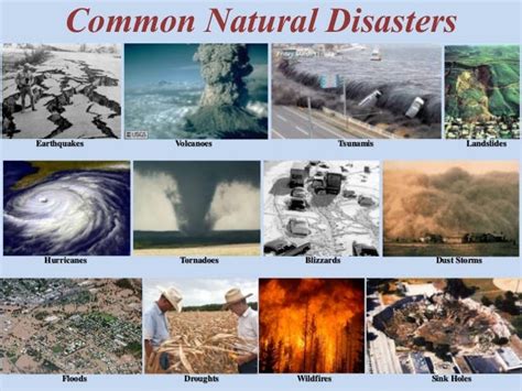 Let’s Talk About Natural ‘‘Disasters’’… | by Yinal Ardan Aktaş | Medium