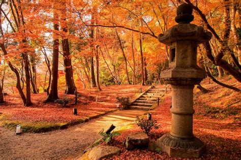 Ten Gorgeous Pictures of Japanese Autumn Foliage in Japan | tsunagu Japan