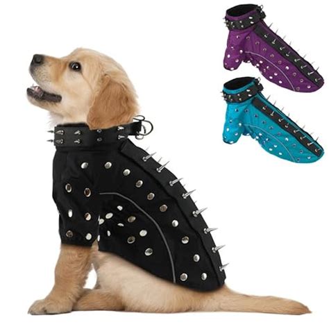 I Tested the Hawk Vest for Dogs and Here's Why It's a Must-Have for ...