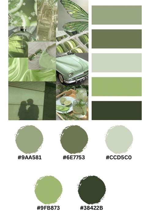 Green Pallete, Purple Color Schemes, Color Schemes Colour Palettes ...