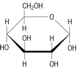 IB Help Centre : IB Biology SL - Unit 3 - Chemistry of Life