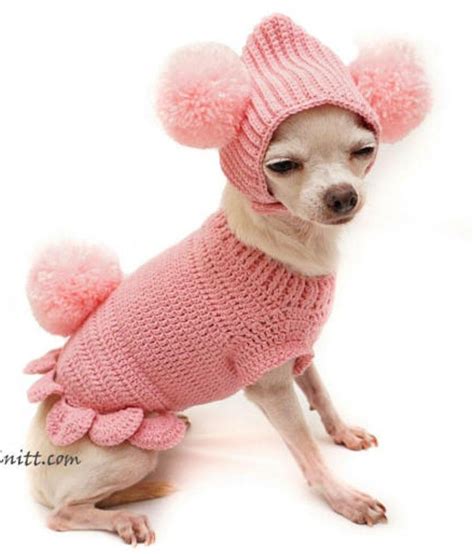 Pin von Deb Moulton auf Clothes/Costumes | Kleidung für hunde ...