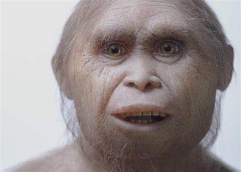 Homo floresiensis and the Myth of the Ebu Gogo | RealClearScience