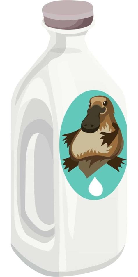 Can platypus milk fight antibiotic resistance? - I Love Veterinary