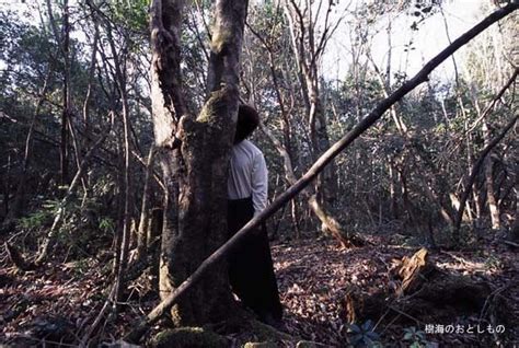 Aokigahara Forest | Aokigahara, Aokigahara forest, Haunted forest