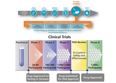 Drug Development Process Overview