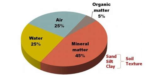 Healthy Trees and Lawns Equal Healthy Soils - UF/IFAS Extension Miami ...