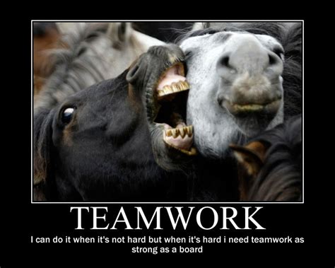 Funny Teamwork Quotes. QuotesGram