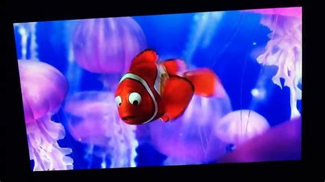 Finding Nemo - Now what?!