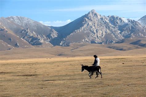 Flora and Fauna of Kyrgyzstan