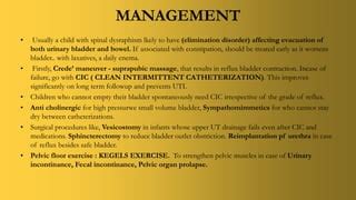 CASE PRESENTATION NEUROGENIC BLADDER- Dr. Subhashini | PPT