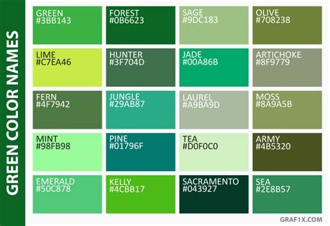 Unique 55 of Light Blue Green Color Names | assuemeevidencia