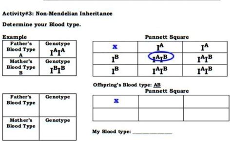 SOLVED: "Activity#3: Non-Mendelian Inheritance Determine your Blood ...