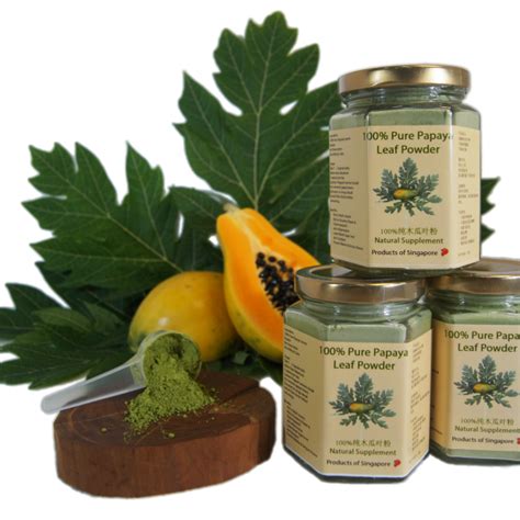 Papaya Leaf Powder – Seven Stars Birds Nest