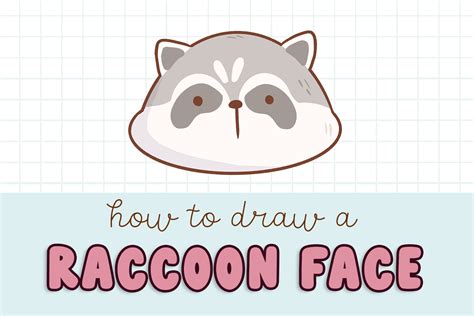 How To Draw A Cute Raccoon