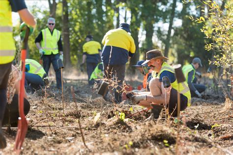 Good News! 9 Positive Environmental Stories from April 2021 - One Tree ...