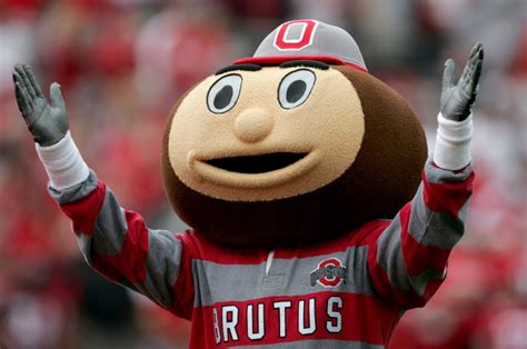 🔥 [50+] Brutus Buckeye Wallpapers | WallpaperSafari