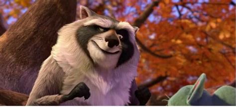 Raccoon {The Nut Job} | Raccoon, The nut job, Animals