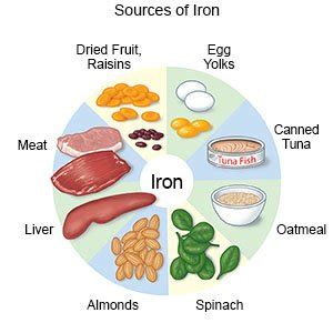 Iron Rich Foods For Severe Anemia | Deporecipe.co