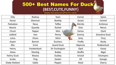 List Of Best Funny Duck Names - Vocabulary Point