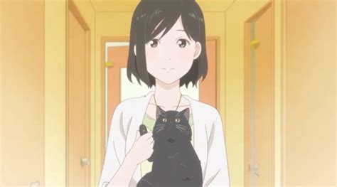 Books: She and Her Cat – All the Anime