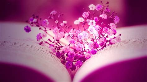 Hot Pink Glitter Background | 2560x1440 facebook flowers pink books ...