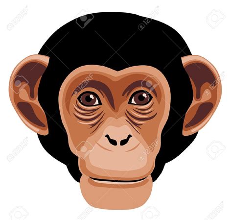 Monkey face clipart 17 - WikiClipArt