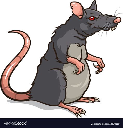 Rat Royalty Free Vector Image - VectorStock