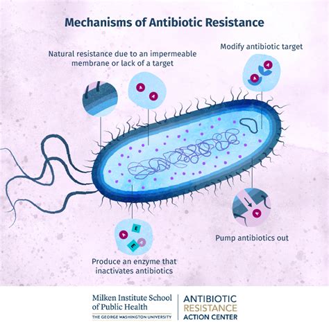 How Bacteria Build Resistance at the Cellular Level | Online Public Health