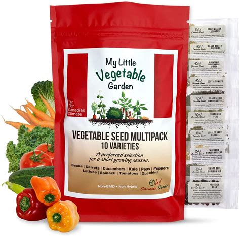 20 Most Popular Vegetable Seeds Variety Pack Over 1300 Non-Gmo ...