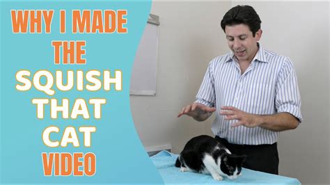 Why I made the 'Squish That Cat' video - YouTube