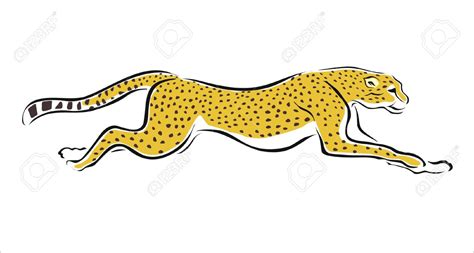 Cheetah Cartoon Drawing