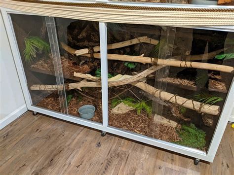 Boa constrictor imperator enclosure diy habitat terrarium vivarium ...