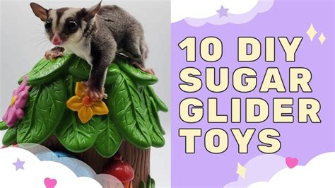 10 DIY Sugar Glider Toys (No Sew) - YouTube