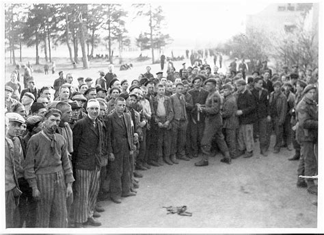 75th Anniversary of the Liberation of Bergen-Belsen | Museum of Jewish ...