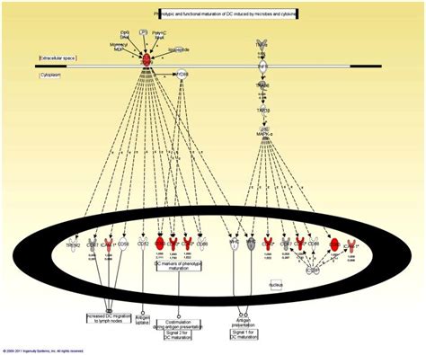 Molecules are represented as nodes, and the biological relationship ...