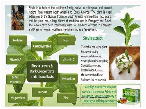 Stevia Plant Benefits In Urdu at Shirley Williams blog