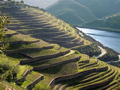 The Top 12 Things to Do in the Douro Valley