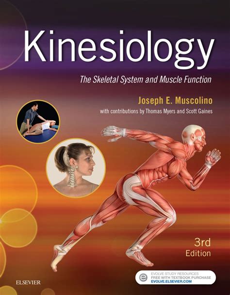 CE - Kinesiology Book Home Study Course - Learn Muscles