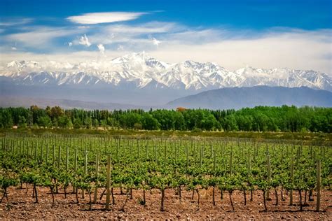 Mendoza Wine Region, Argentina | Winetourism