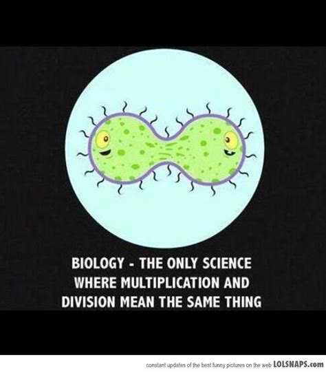 Biology - LolSnaps | Biology memes, Biology jokes, Science humor