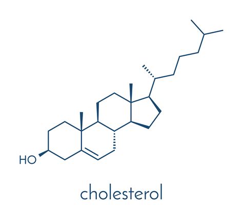 Cholesterol