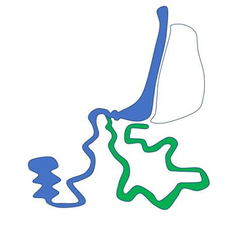 Loop Duodenal Switch - Advanced Bariatric Surgery